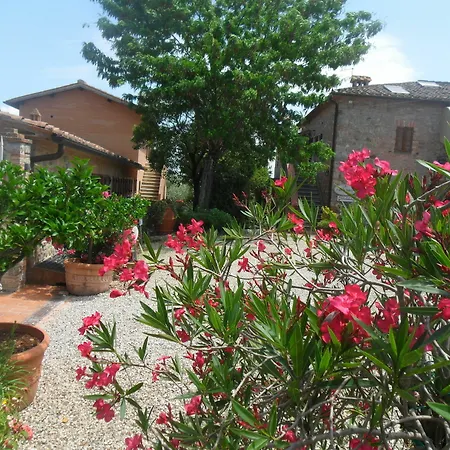 Fullino Nero